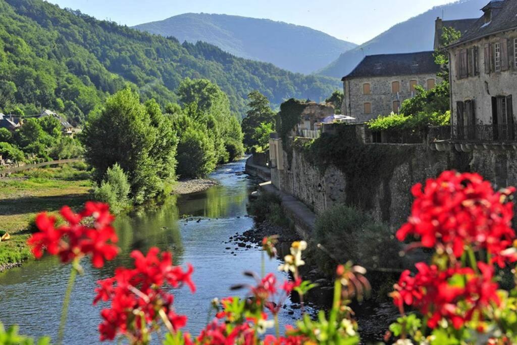 Au 11 T3 Duplex, Village Vacances, Piscines, Parking Saint Geniez d'Olt Bagian luar foto