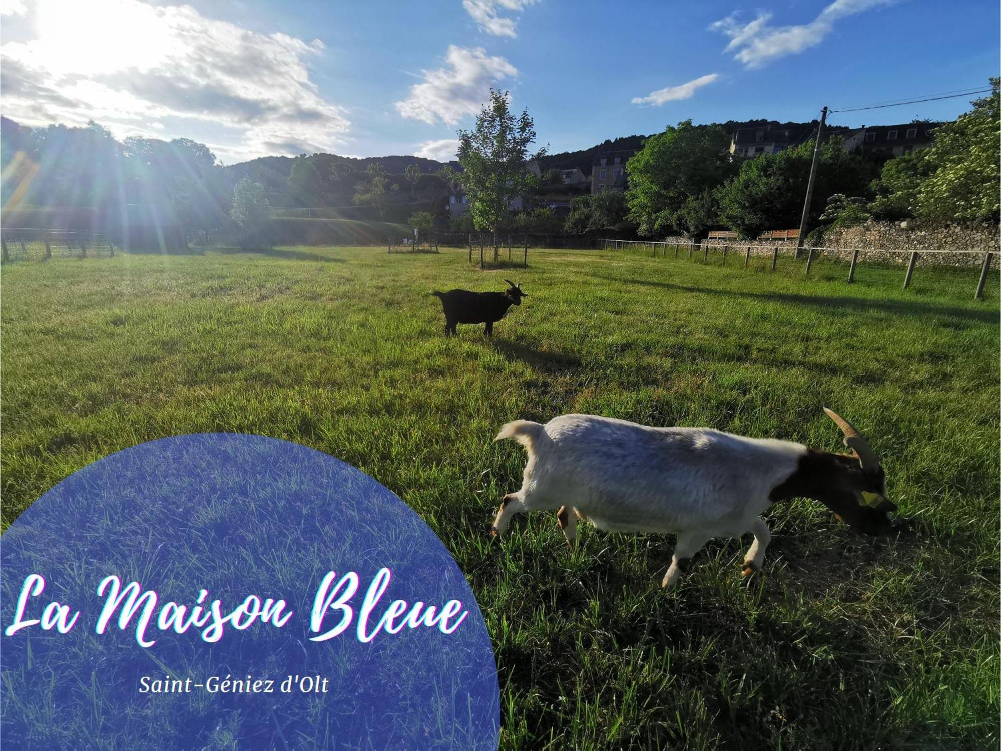 Au 11 T3 Duplex, Village Vacances, Piscines, Parking Saint Geniez d'Olt Bagian luar foto